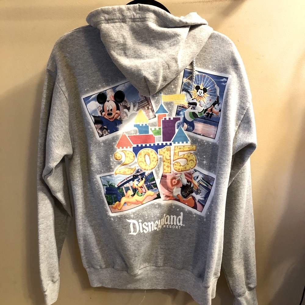 Disney World 2015 unisex hoodie